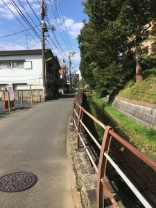 20161007_014830415_iOS